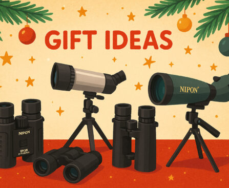 gift ideas