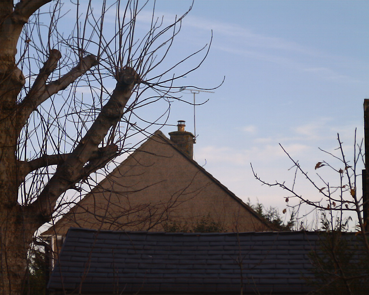 8x21 Digital Binocular Camera Combo